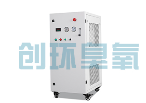 荆门石斑鱼养殖水质调控完整指南：臭氧发生器配置与操作步骤