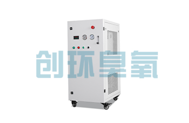 荆门比传统换水更高效？臭氧发生器在石斑鱼养殖中的水质净化原理解析